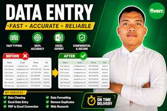 data entry, excel data cleaning, and formatting