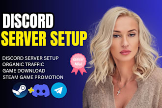 setup a professional custom discord server