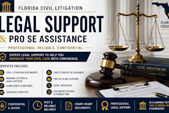 be your florida attorney and legal consultant for pro se civil litigation