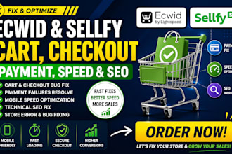 fix ecwid sellfy cart checkout errors payment failures mobile speed SEO issues
