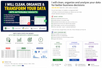 clean data and structure business