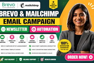 brevo mailchimp campaign brevo newsletter brevo automation brevo email template