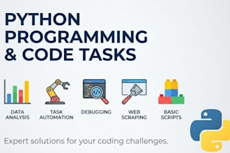 do python programming and code tasks