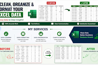 clean, organize and format your excel data professionally