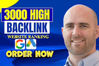 do 3000 high quality seo backlink with off page service for website ranking