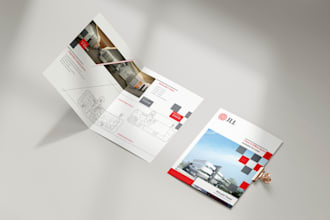 design a professional business flyer or brochure