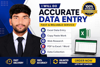 accurate excel data entry, pdf to excel, copy paste and web research