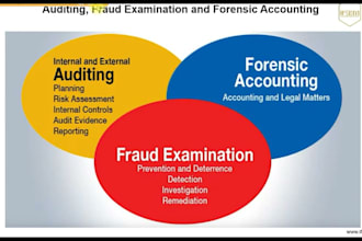 perform forensic accounting, fraud investigation, CPA financial statement