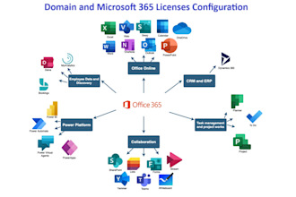professional microsoft 365 licensing solutions