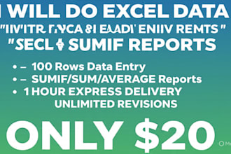 excel data entry sumif report in 1 hour