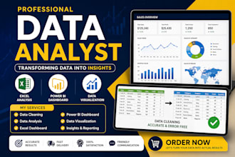 do data cleaning, data analysis and excel dashboard