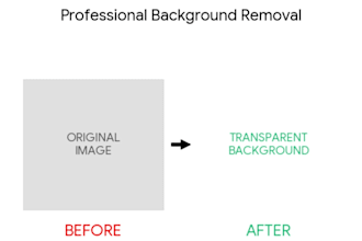 do professional background removal and data entry tasks