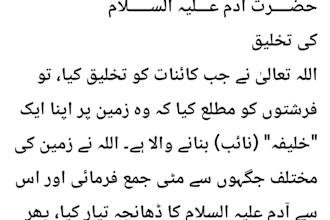 do professional urdu typing and fast voice typing