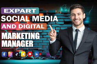 serve as your digital marketing expert,SEO, paid ads