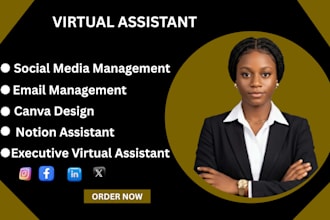 be your all in one executive VA canva designer notion and social media manager