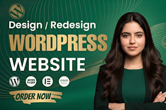 build, design, or redesign a professional wordpress website