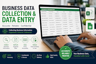 do expert data entry and excel spreadsheet work