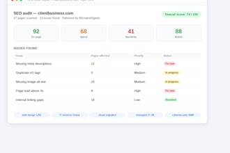 do a complete SEO audit and on page optimization for your website