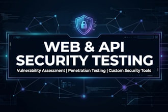vapt and API security testing with custom security tools
