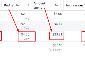your expert social media and ads manager
