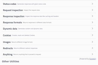 provide a website audit for five dollars