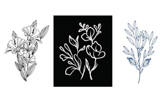 draw clean line art for products, flowers, and objects in 24 hours