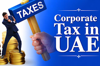 handle uae corporate tax filing, vat, bookkeeping and compliance