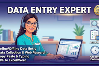 do expert data entry and web research work