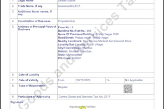 file gst return, itr, tds return, msme and gst registration
