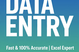do fast and accurate data entry and excel work