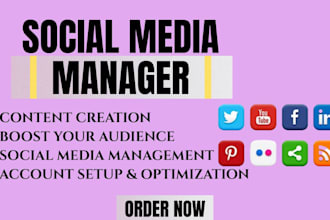be your social media marketing manager social media content creator ig marketing