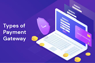 setup 2d, 3d payment link, payment processor, paypal, wise, payment gateway