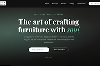 develop a professional, responsive website for your business
