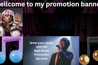 run spotify ads for your track promotion