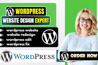 fix wordpress, redesign wordpress and customize your site