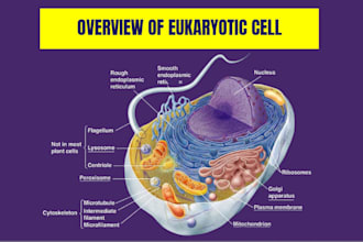 create biology notes presentations