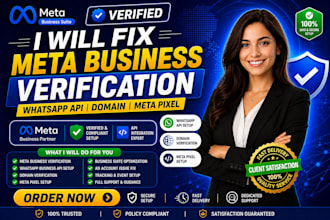 fix meta business verification, whatsapp API setup, domain and meta pixel issues