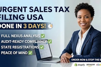 provide expert sales tax filing USA and nexus analysis for ecommerce