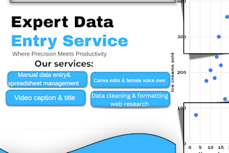 do urdu english typing and data entry fast