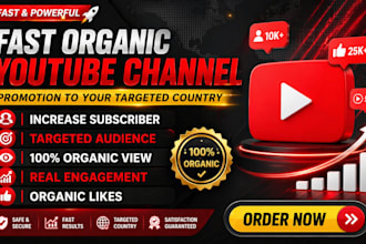 do youtube video SEO and organic promotion for channel monetization