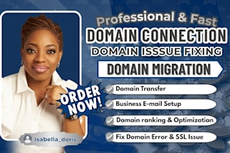 connect domain, do domain transfer, redirect domain, connect domain, fix domain