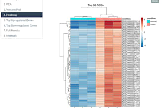 perform rnaseq differential expression analysis on your dataset