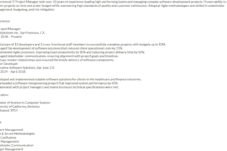 professional resume writing to highlight your skills