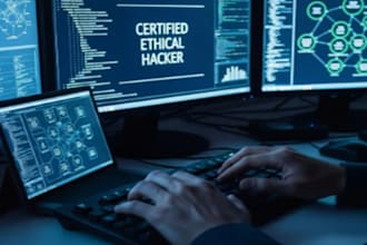 ethically get access to phone, secure access and vulnerability investigations