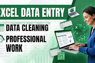do profe excel data entry, data cleaning and formatting