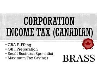 prepare corporation tax filing for small canadian business