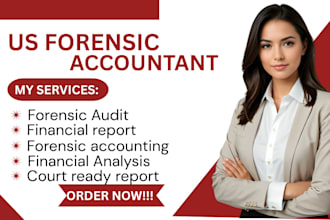 prepare forensic accounting and business damages reports for litigation