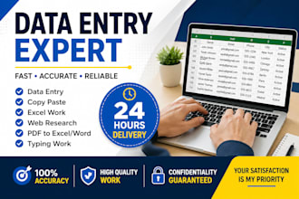 do fast and accurate data entry, excel, copy paste within 24 hours