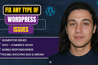 fix wordpress websites issues, fix bugs, update security, and optimize for SEO