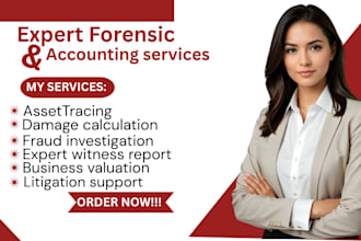 provide expert forensic accounting analysis for lost profits fraud and disputes
